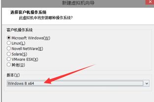 win10虚拟机里怎样安装软件