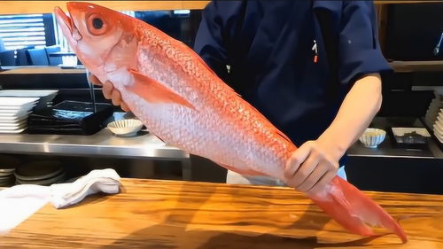 极品大红鱼,看日本大厨是怎么做刺身的,不吃刺身的看到也想尝尝 