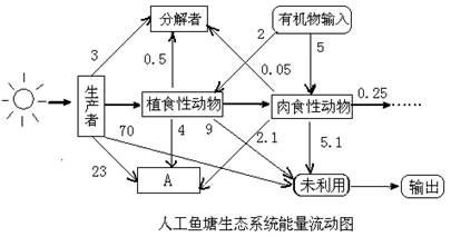 在市场上，肉一般比粮食贵，试从生态系统能量流动的角度分析原因。