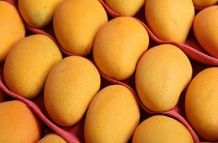芒果含什么营养