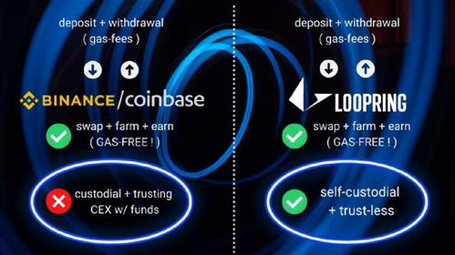 Loopring,loopring钱包下载