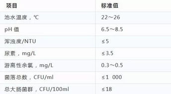 网站专业术语，PV指什么