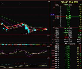 最近有没有人在关注 002003 伟星股份， 这支股票？