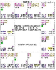 紫微斗数排盘