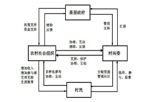 组织化振兴 农村社...中国农村研究网 