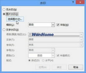 wps word水印怎么加在图片文字上面