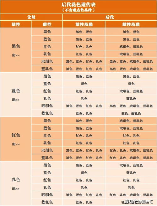 品种猫纯色繁育表 X色配X色生什么颜色的小猫最全对照表