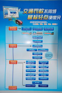 哈尔滨汽车违章查询网