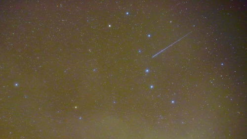 狮子座流星雨18日将扮靓夜空