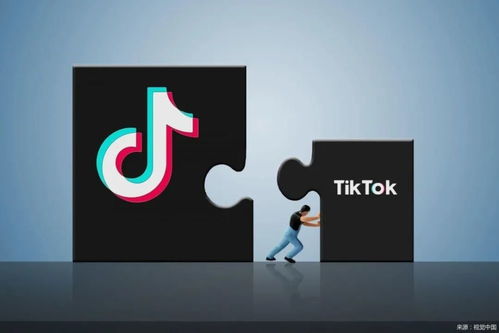 8大海外主流社媒营销平台及营销方式汇总_Tik Tok变现模式介绍