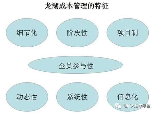 某集团 细节式 成本管理办法