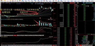 买涨停板股票是在开盘时买入好还是收盘前好