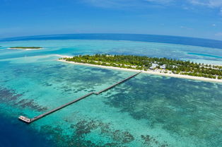 马尔代夫快乐岛浮潜探索海底神秘世界的乐趣（马尔代夫新开发的岛）