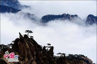 赞美黄山美景的句子