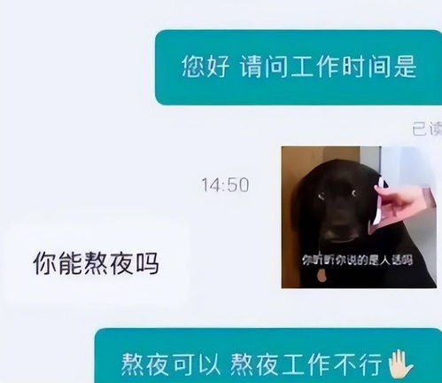 年轻人找工作不要看钱 经济学家直接回怼,一句 无知 很接地气