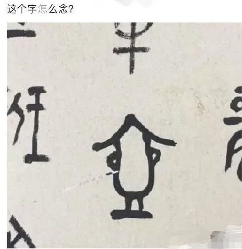 优美的句子加感悟字