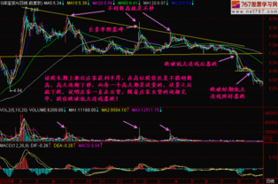 谱尼测试股价跌破10%