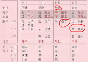 绝非巧合 八字命理的某些结论竟然跟基因学的研究成果相似 