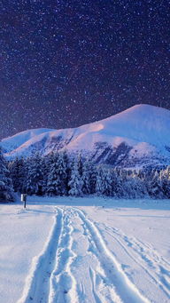 夜晚雪景图片唯美伤情 搜狗图片搜索
