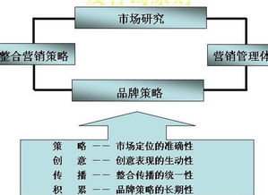 综合资讯 文军营销 