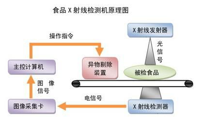 食品生物技术就业方向以及待遇如何呢