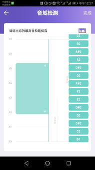 我的音域测试结果,有懂的吗 