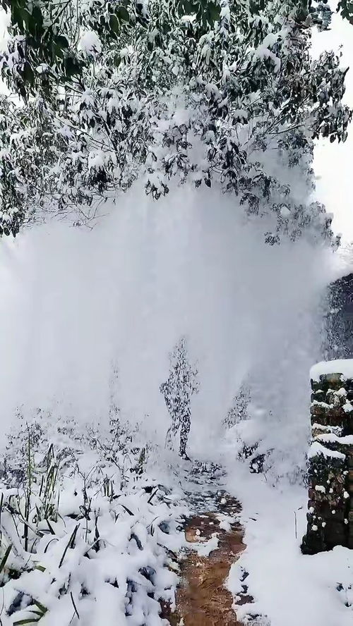 下雪太适合这首歌了,就是有点费人 