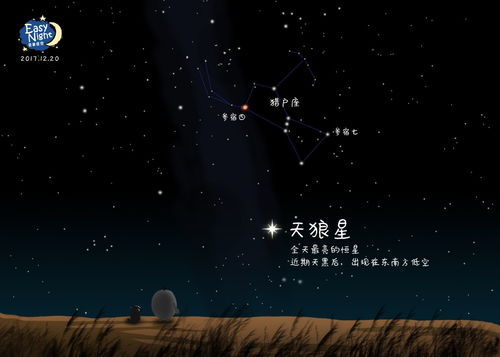 这个季节,一起欣赏夜空中最亮的星 