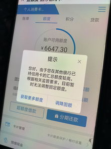 什么是授信他项额度