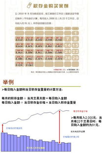 定额投资是什么意思呢？