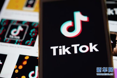 tiktok搬运视频算侵权吗_TikTok 上可以投放哪些类型的广告