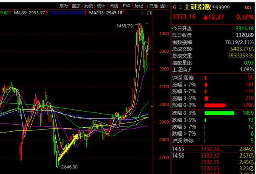 为什么昨天买入的股票今天不能卖？