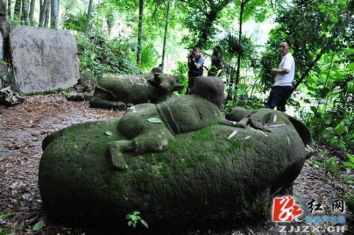 张家界天子山竹林深处藏石牛雕塑 神秘身世有待破解 