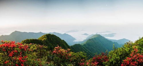 盘点浙江10大高山, 少去一座都是遗憾, 山顶风景很美