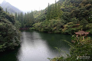 宁波四明山区古龙潭镇