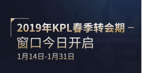 王者荣耀 微博道歉,Dgc与星辰,KPL 人气王 的他可能退役