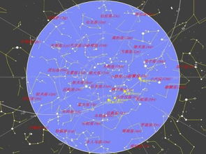 天文学 夏季北半球可以看到哪些星座