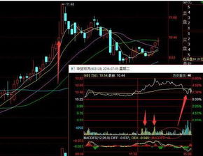 600409三友化工能介入吗 分析一下 谢谢