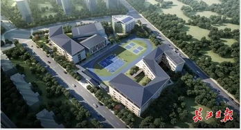 长江新城推进一批重大项目建设