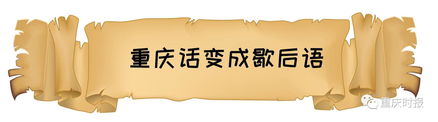 荣华实业600311为何这样火，让人又爱又怕