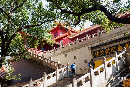 深圳弘法寺开放时间和门票 