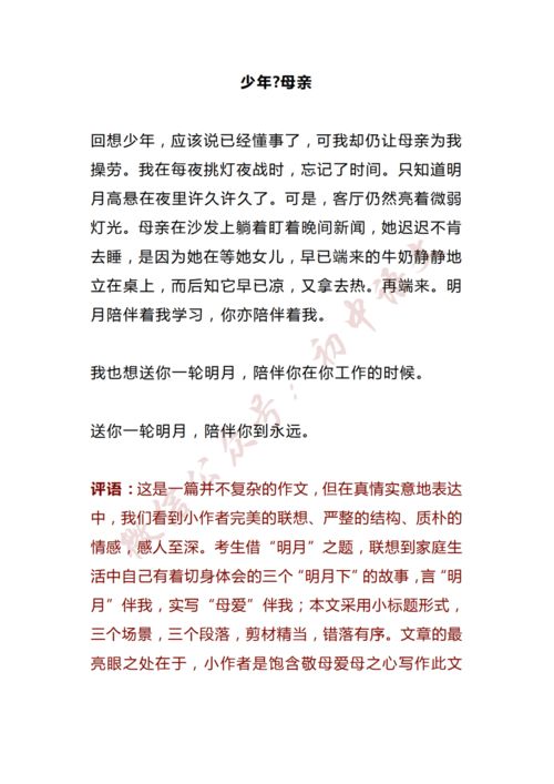 广东中考满分作文温暖