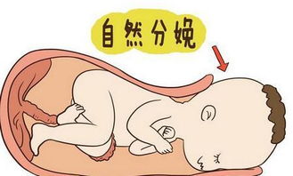 产前须知 顺产和剖宫产时打麻醉, 对宝宝影响到底有多大 