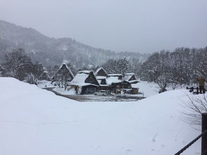 关于白雪皑皑的高山的诗句