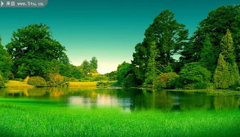 绿色风景背景图片 清爽自然美景