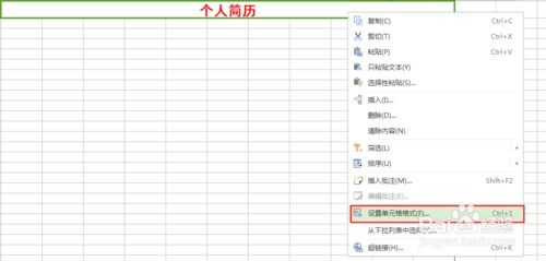 wps excel怎么制作一个漂亮的简历 