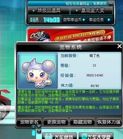 给白金神兽进化之后为啥还没有宠物加成