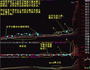 强势选股之超级 多方炮