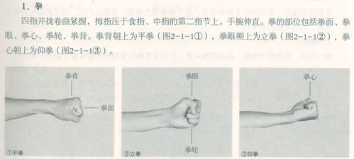 武术健身操的基本术语 