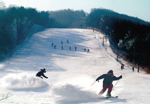 东北亚滑雪场，东北八大滑雪场推荐